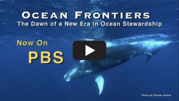 OF1_PBS_Announcement