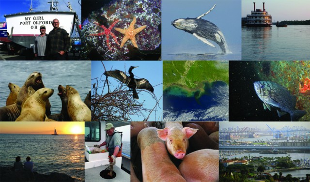 b692e872-c5fa-44ba-82d1-ea022e2b3c49